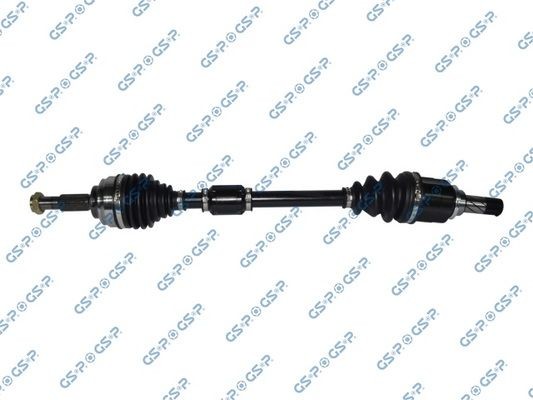 GSP 250490: Piedziņas vārpsta 666mm