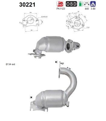 AS 30221: Catalizator