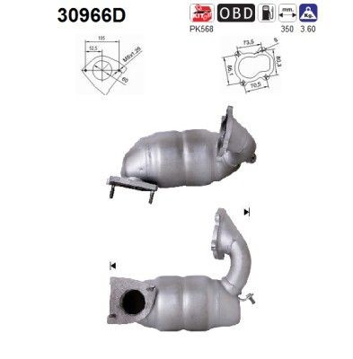 AS 30966D: Catalyseur