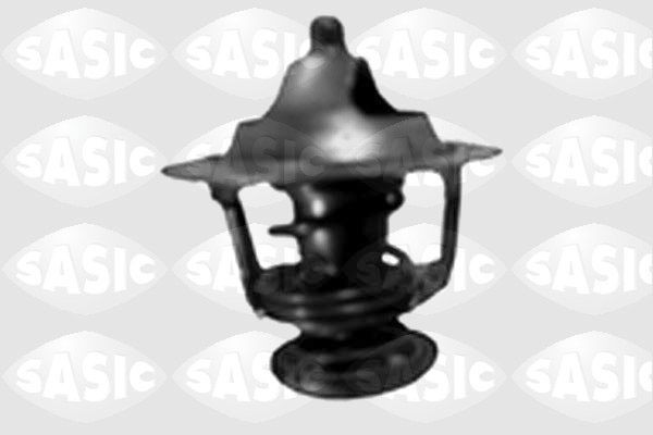SASIC 3371481: Termostatas, aušinimo skystis