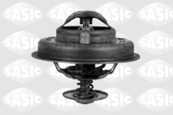SASIC 3381181: Termostatas, aušinimo skystis