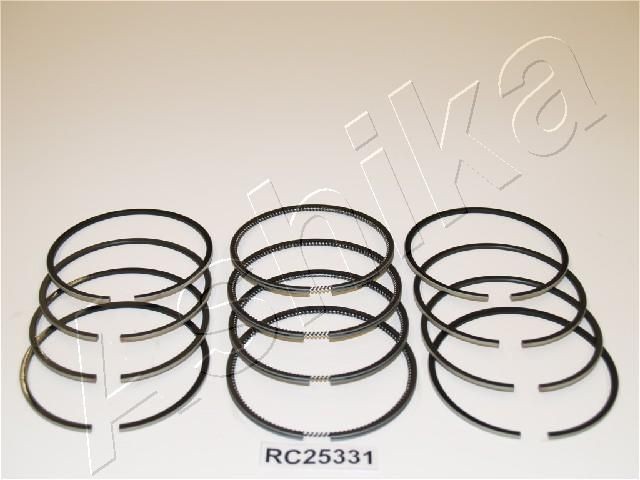 ASHIKA 34-25331: Segment piston