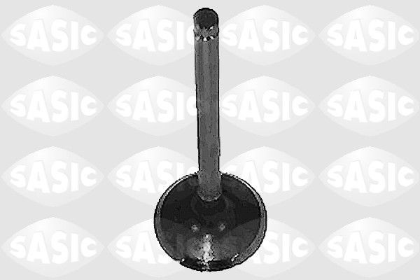 SASIC 4000961: Väljalaskeventiil Väljalaskepool