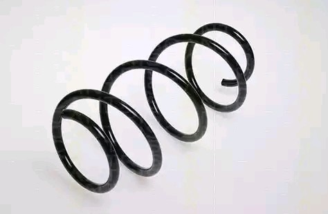 FEBI BILSTEIN 47240: Arc spiral punte fata