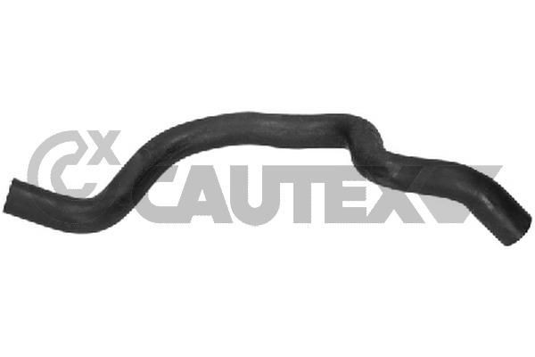 CAUTEX 486327: Furtun radiator iesire