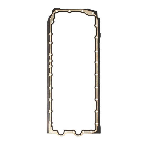 REINZ 71-38669-00: Garnitura baie ulei