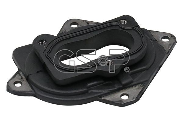 GSP 510003: Flants, karburaator