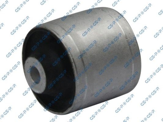 GSP 510301: Puks