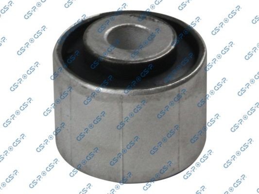 GSP 510500: Puks Tagasild