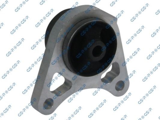 GSP 510812: Puks ees