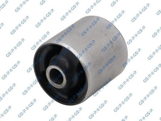 GSP 514872: Puks Esisild
