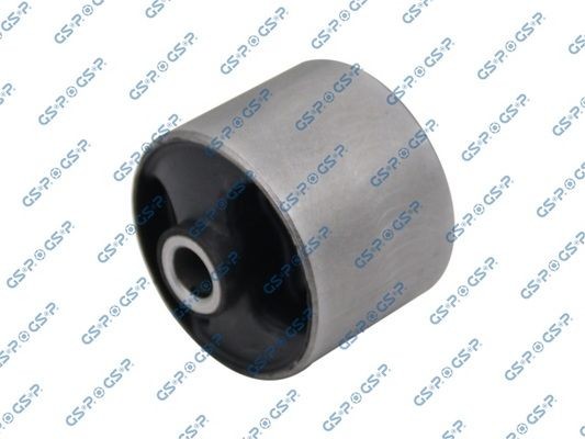 GSP 516501: Puks Tagasild