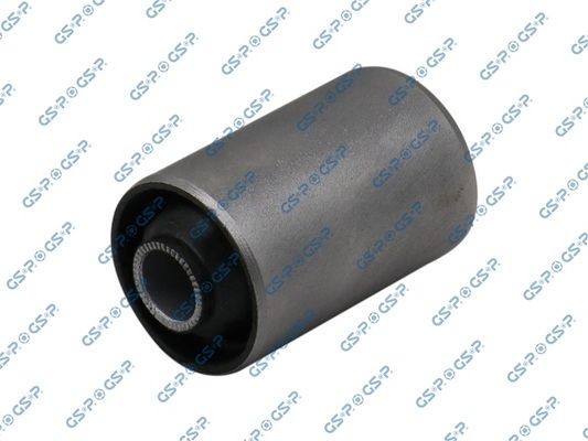 GSP 516743: Puks Tagasild