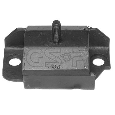 GSP 518555: Paigutus, Mootor