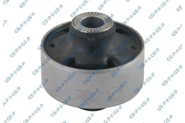GSP 530529: Puks