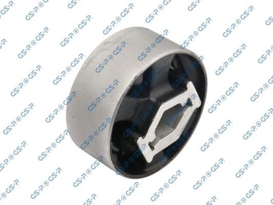 GSP 530569: Puks kese