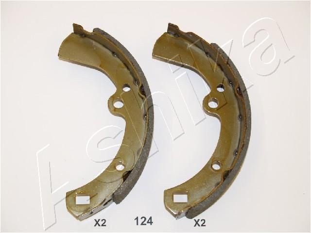 ASHIKA 55-01-124: Set saboti frana puntea spate, 205mm