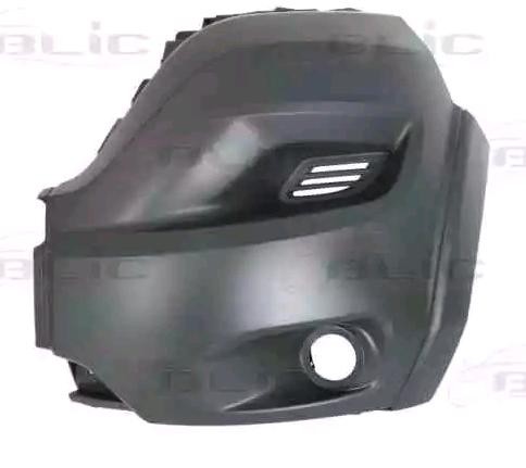 BLIC 5510-00-2098907P: Bară de protecţie