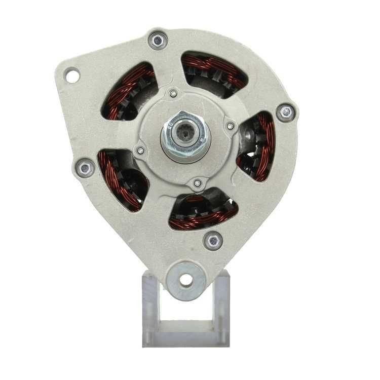 BV PSH 565.003.065.311: Alternator 65A