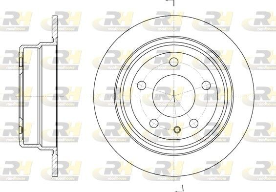 ROADHOUSE 6309.00: Remschijf Achteras, Ø: 284mm, volledig, Ø: 284mm