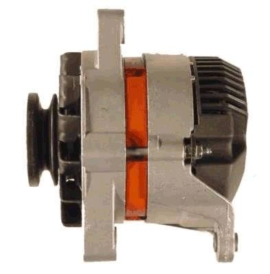 ROTOVIS Automotive Electrics 9033250: Alternator 55A