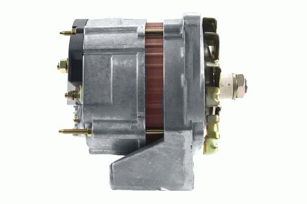ROTOVIS Automotive Electrics 9930520: Alternator 55A