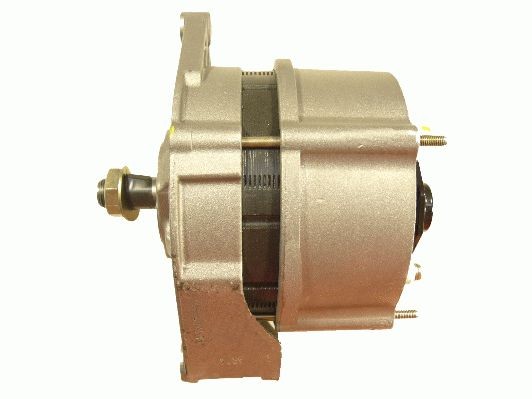 ROTOVIS Automotive Electrics 9940280: Alternador 95A