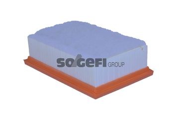 TECNOCAR A2027: Gaisa filtrs