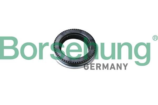 Borsehung B18294: Fjærbeinslager