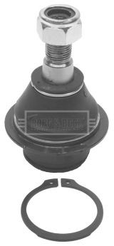 BORG & BECK BBJ5619: Pallonivel