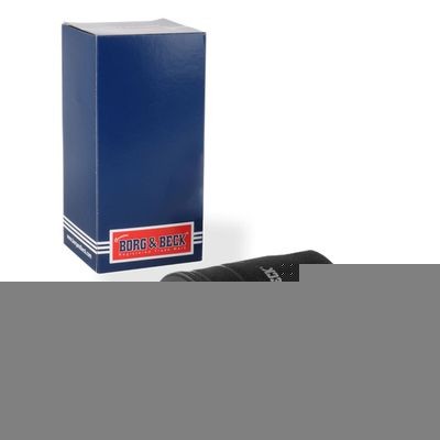 BORG & BECK BFO4185: Ölfilter mit einem Rücklaufsperrventil