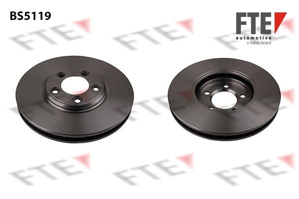 FTE BS5119: Bremžu diski Ø: 300mm, ar iekšējo ventilāciju, Ø: 300mm