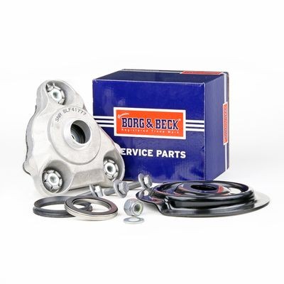 BORG & BECK BSM5198: Fjærbeinslager med fjærtallerken, med lager