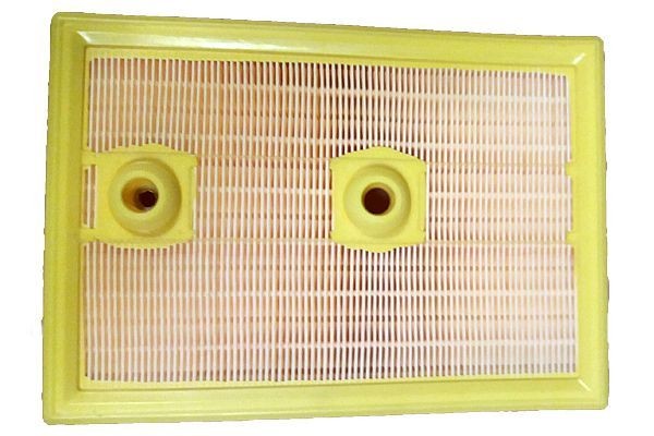 BUGIAD BSP24585: Luftfilter