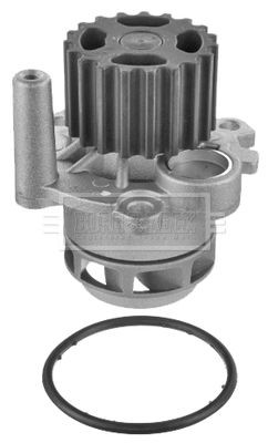 BORG & BECK BWP1934: Pompa acqua N° denti: 19, con guarnizioni