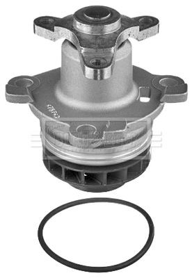 BORG & BECK BWP2178: Bomba de água com juntas