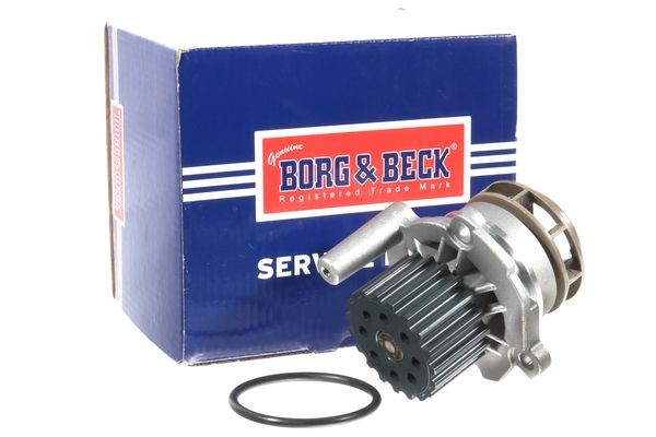 BORG & BECK BWP2361: Vízszivattyú Fogszám: 19