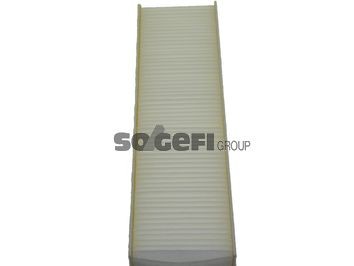 FRAM CF10831: Interieurfilter pollenfilter