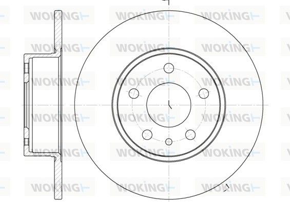 WOKING D6149.00: Bremsscheibe Hinterachse, Ø: 251mm, voll, Ø: 251mm
