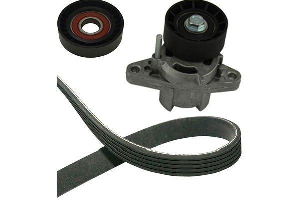 KAVO PARTS DKM-6505: Kiilrihmakomplekt