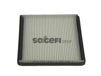 TECNOCAR E359: Filter vnútorného priestoru pelovy filter