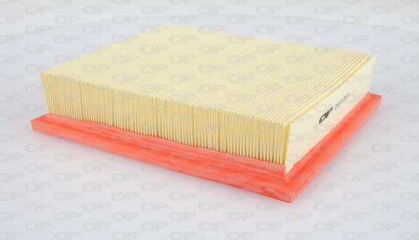 OPEN PARTS EAF3131.10: Luftfilter