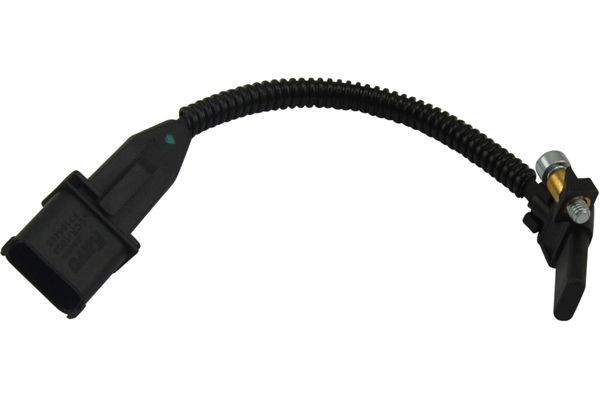 KAVO PARTS ECR-1003: Krukassensor