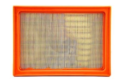 NPS N132N76: Filtro aria