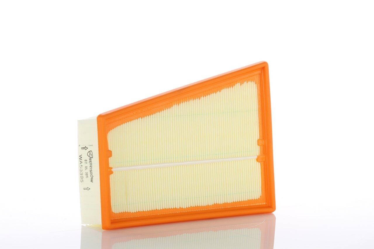 PZL Filters PDS813: Filtro carburante