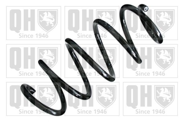 QUINTON HAZELL QCS5538: Fjær framaksel