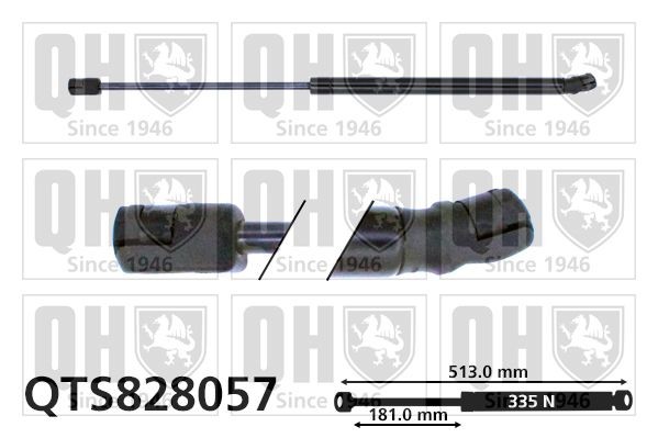 QUINTON HAZELL QTS828057 Heckklappendämpfer 513mm