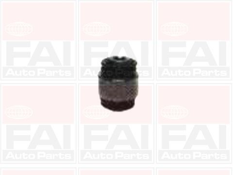 FAI AutoParts SS4575 Lagerung, Lenker