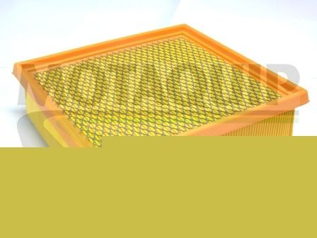 MOTAQUIP VFA1197: Luchtfilter