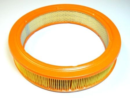 MOTAQUIP VFA139: Filtro aria